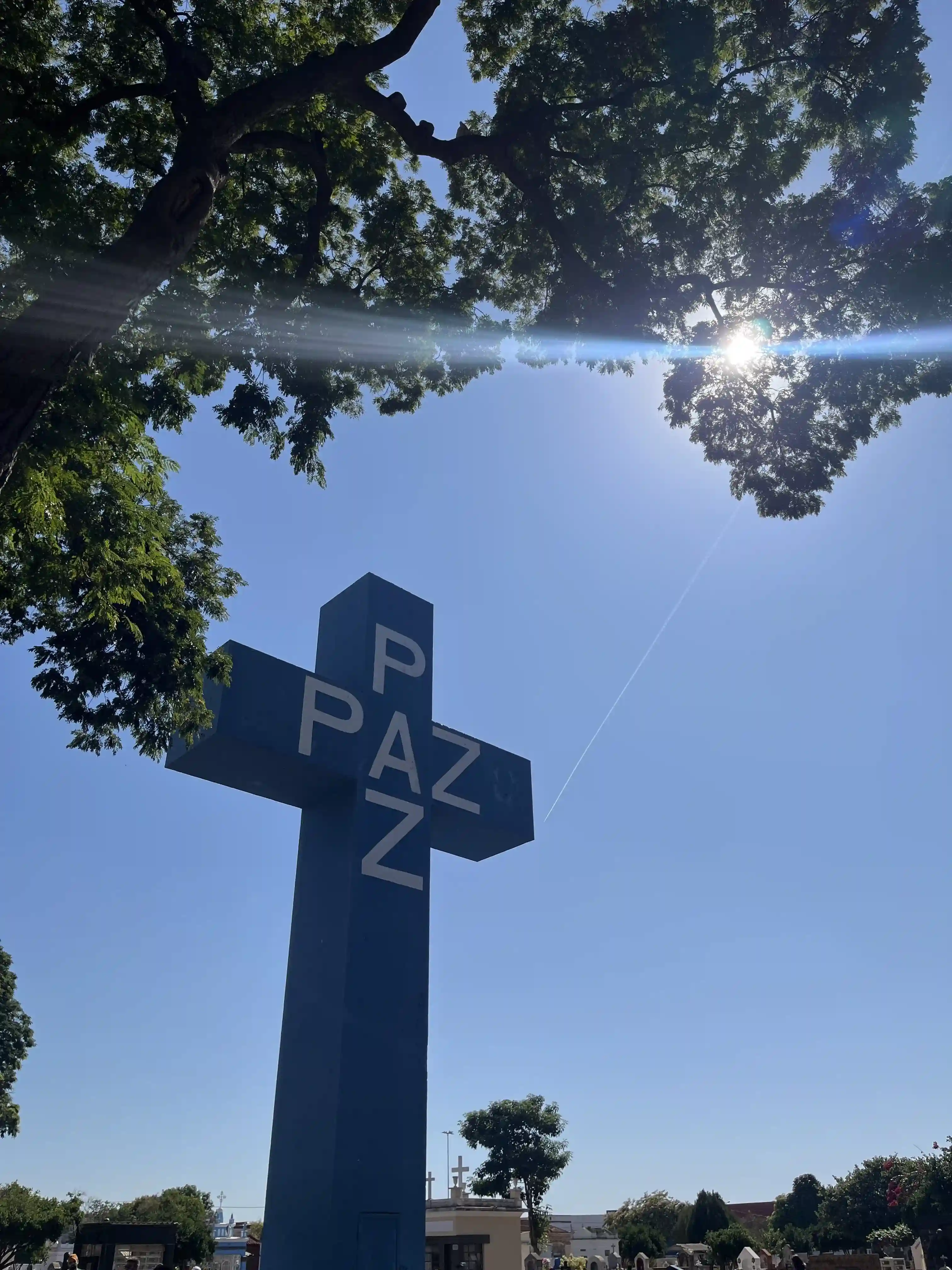 Cruzeiro, local de vivência de religiosidade coletiva, era também um
reservatório de água